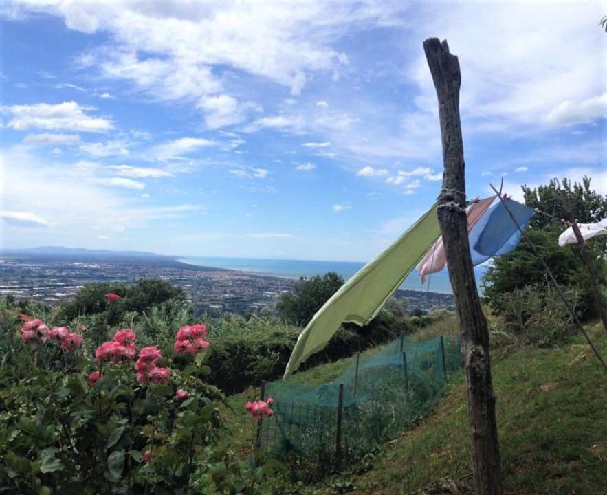 Bed & Breakfast Masini-luccetti Bed & Breakfast