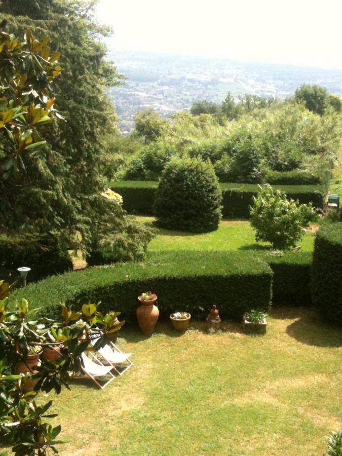 Masini-luccetti * Pietrasanta